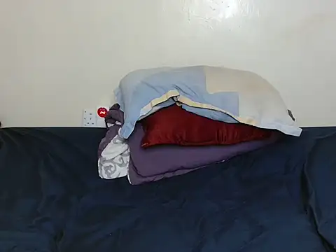 luzrem webcam