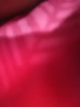 Peige_sh webcam