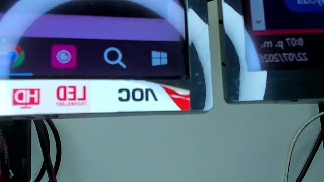 dstevora webcam