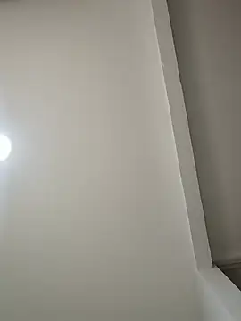 Halliesturner webcam