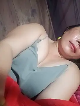 -Nibi- webcam