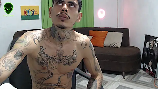 alpha_zom webcam
