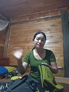 Td3di webcam