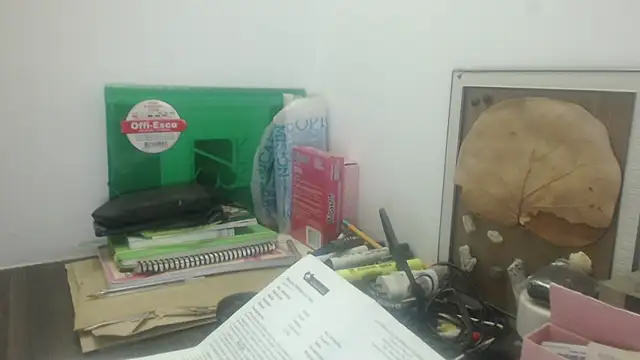 sabrina_v_ webcam