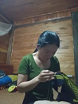 Td3di webcam