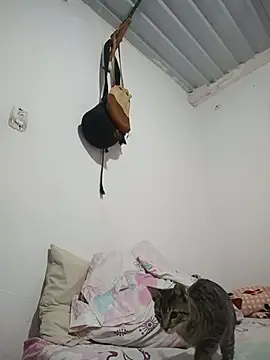 Bigassmommy_x webcam