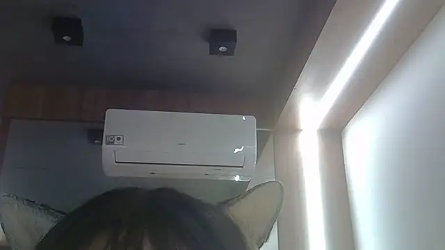 SkinnyKitten webcam