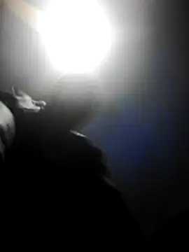 Nawtyslaveteen webcam