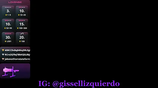 Liincostelloo webcam