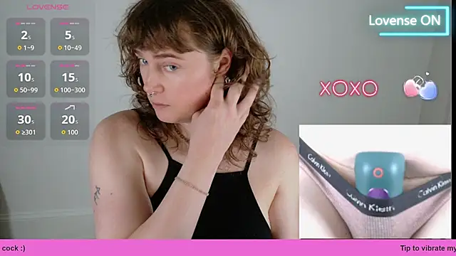 tsellieryder webcam