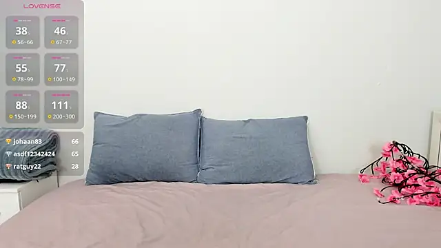 Kiraeko webcam