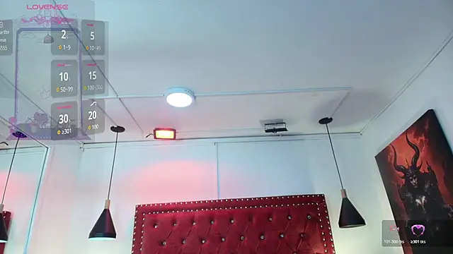 Iris_faster webcam