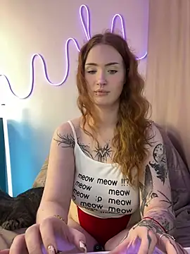 _HESOYAM webcam