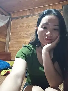 Td3di webcam