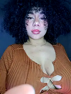 Yerystar webcam