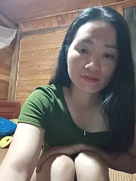 Td3di webcam