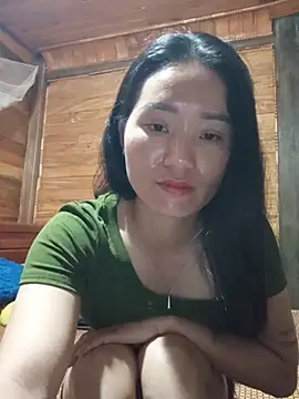 Td3di webcam
