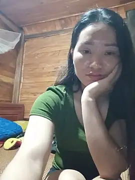 Td3di webcam