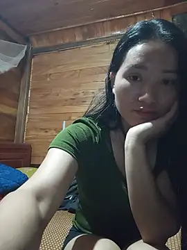 Td3di webcam