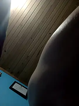 Ary- webcam