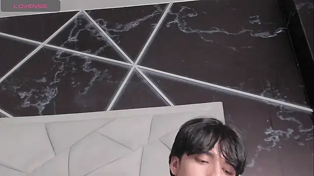AerumChae webcam