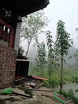 Linda-yiyi webcam