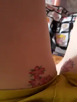 -Tara-a webcam