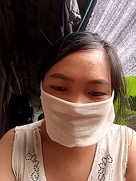 Hiha-nn webcam