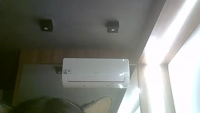 SkinnyKitten webcam