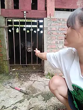 Linda-yiyi webcam