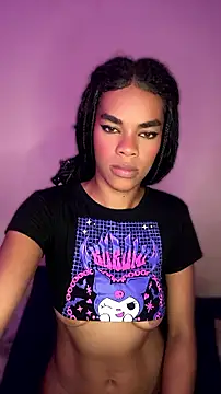MIMICAMM webcam