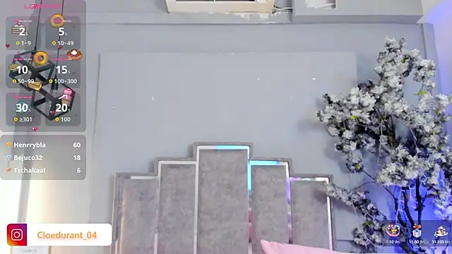 Cloedurant webcam