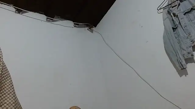 sk8-sir webcam