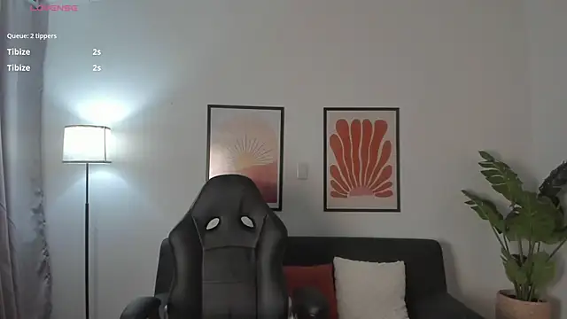 nova_silk webcam