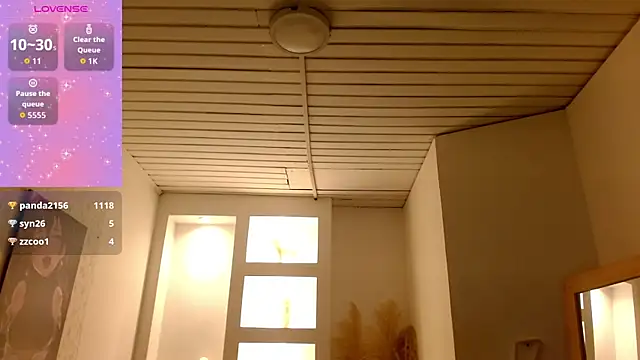 Haddes_as webcam