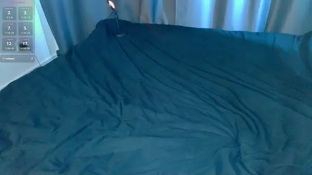 meowwave webcam