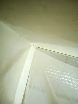 Queenie9z webcam