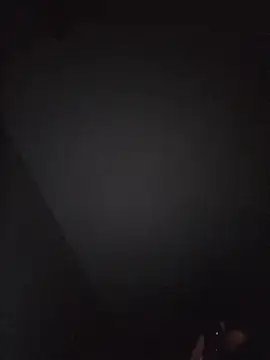SingingTrunks webcam