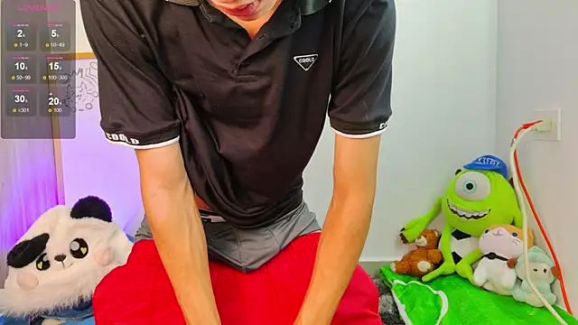 Ely_king webcam