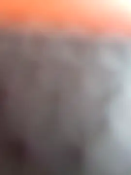 dolphiinn