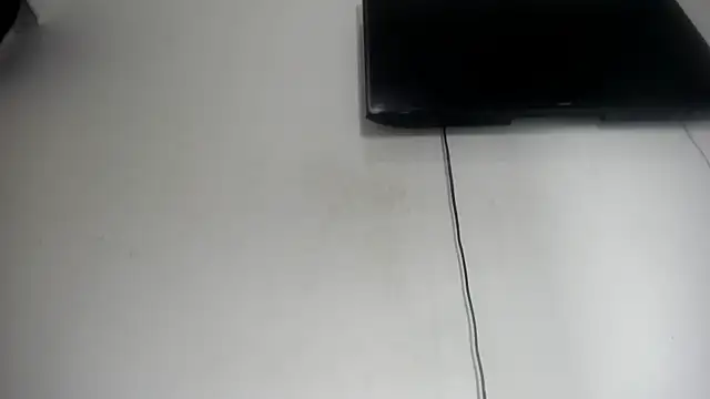 Fox_Loves