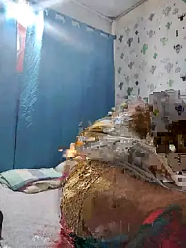 Avannay webcam