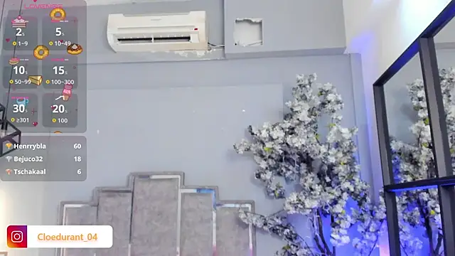 Cloedurant webcam
