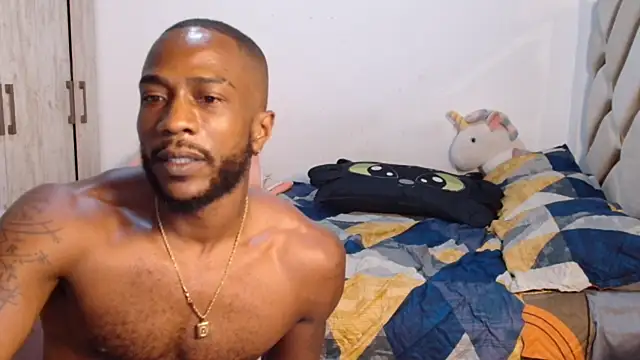 laaspri webcam