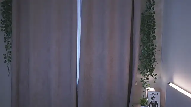 HermaFrain webcam