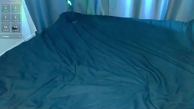 meowwave webcam