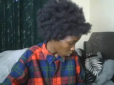 fynfunn webcam
