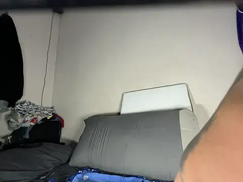 Vision1285 webcam