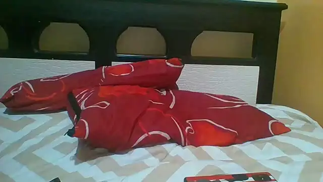 teticalinte webcam