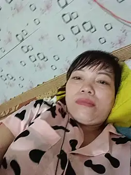 Sana-vn webcam